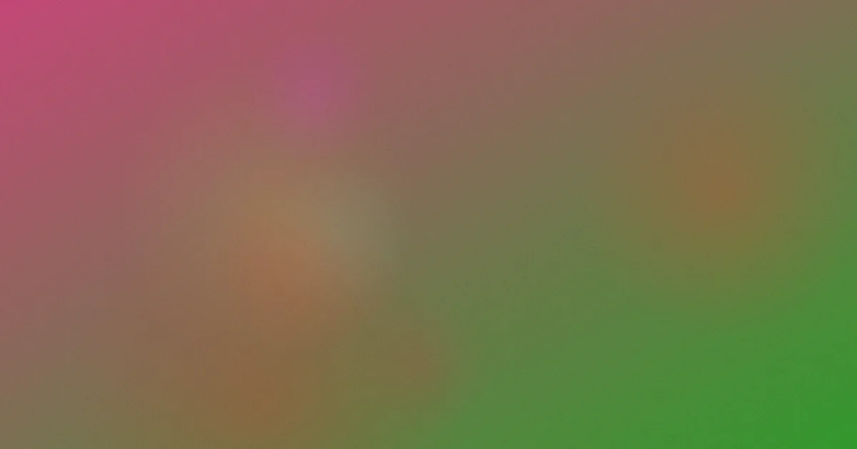 鲁鲁推荐：新手从识别到选择